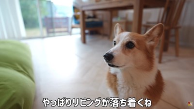 やっぱりリビングが落ち着く！！