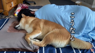 徐々にパパの方に移動して…