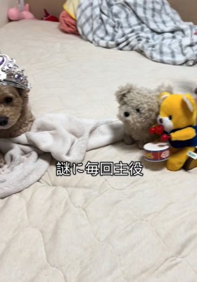 画面移動