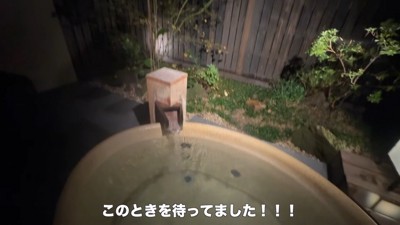 旅行中のティノちゃん6