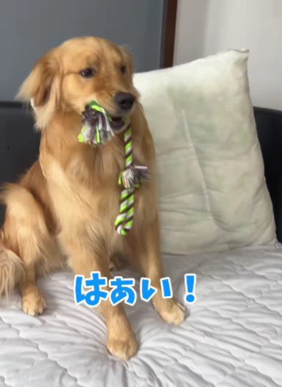 やっと動きを止めると…