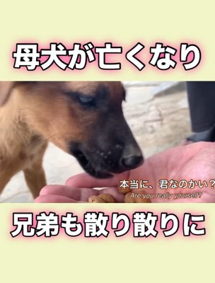 本当にあのときの…？