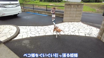 綱引き開始!?