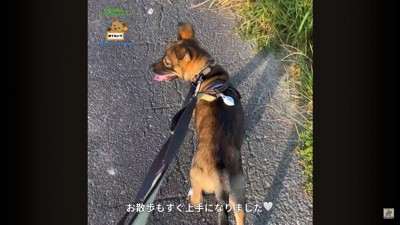 詩音くんと花音ちゃんが幸せを掴むまで7