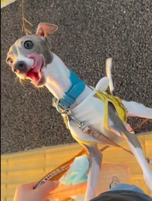 みんな一緒が嬉しいね!