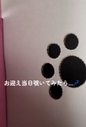 「怖がっていないかな」