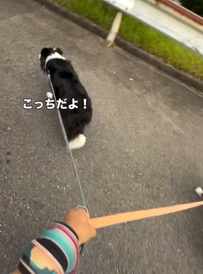 引っ張るるなちゃん