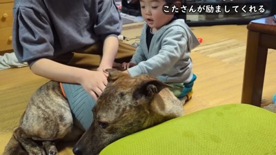 雷を怖がるりゅうさん＆励ます家族9