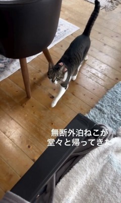 朝帰り