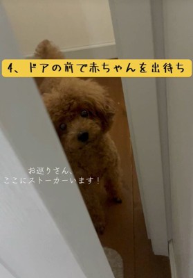 ドアの前で出待ち