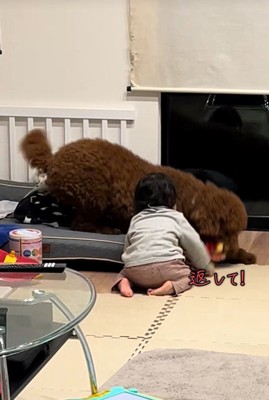 きんとん君VS男の子2