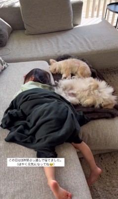 微笑ましい光景でした