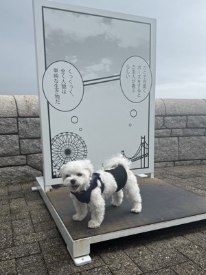 愛犬用フォトスポット