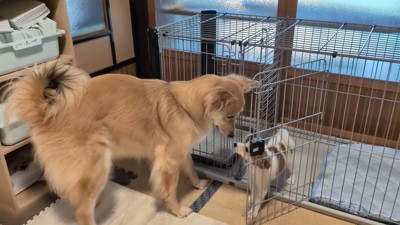 尊い光景にほっこり