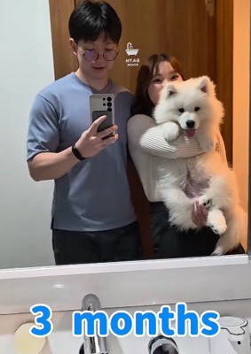 コロコロ可愛い子犬が…