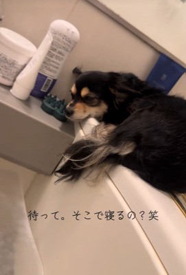 お目目を開けたかと思うと…