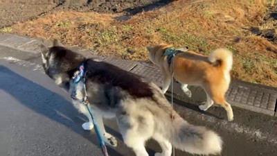 順調にスタートを切ったが…