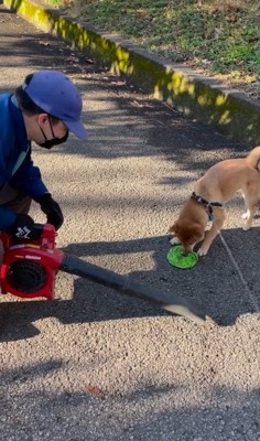 公園管理は任せてね♪