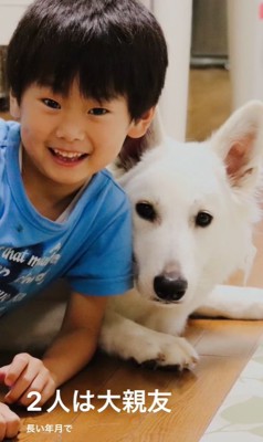 子供と大型犬