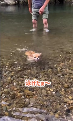 泳ぐノアちゃん7