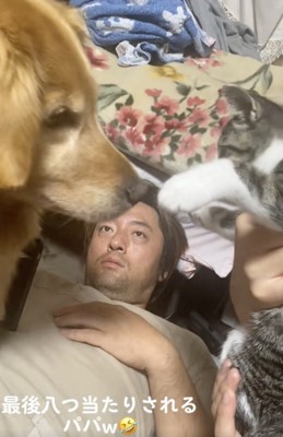 お互いのことが気になるもよう