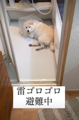 「ここが安全なの…」