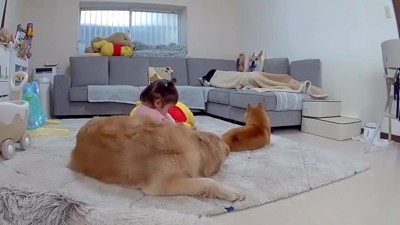 くつろいでいたら…