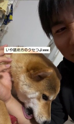 むぎちゃんの舐め方5