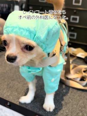 「先生、そろそろ始めましょう」