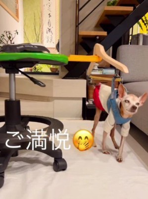 誇らしげなHappyちゃんにホッコリ