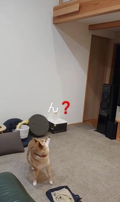 お兄ちゃん帰省時のハルちゃん3