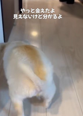 少しずつ前へ進みます