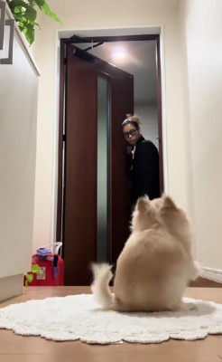 きちんとお座り