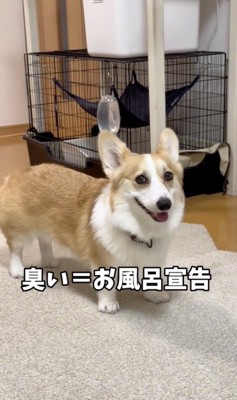 「なんたること」