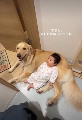 犬の体に寝る赤ちゃん2