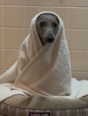 優しくて可愛い姿♡