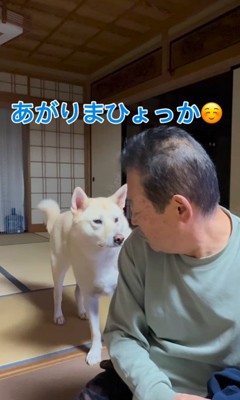 きなこちゃんとおじいちゃんのやり取り⑩