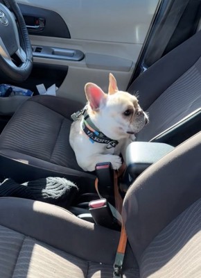 「なにごと…?」