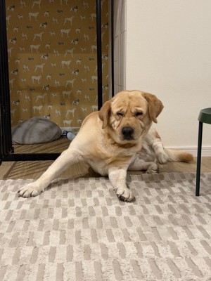 クセ