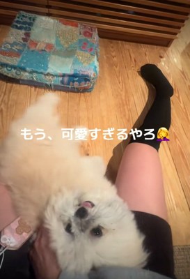 ヘソ天するるるちゃん1