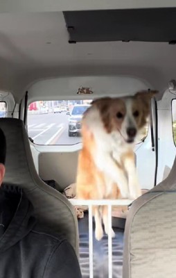 大きくジャンプ!!