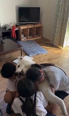 帰宅後のお子さんたちとまる君7