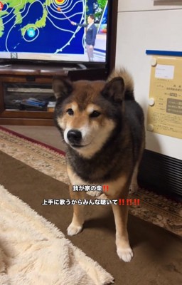 休憩するしゅんくん