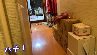 パパさんが帰宅