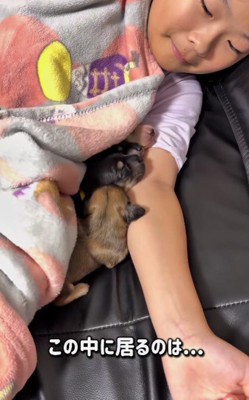 カニンヘンダックスの子犬たち♡