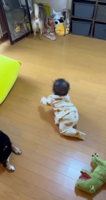 おもちゃをゴソゴソ