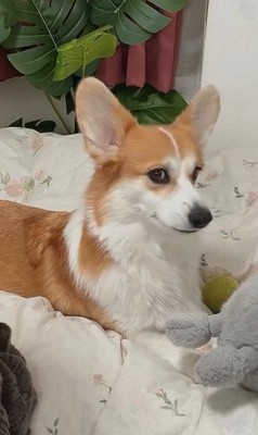 歌の最中にイタズラするうたちゃん9