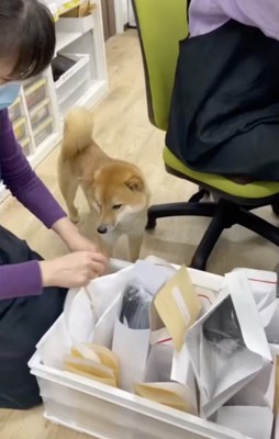 本日も元気に出社。