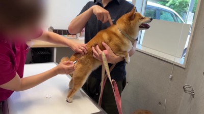驚いて大絶叫!!