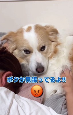 「ママをいじめるな!」